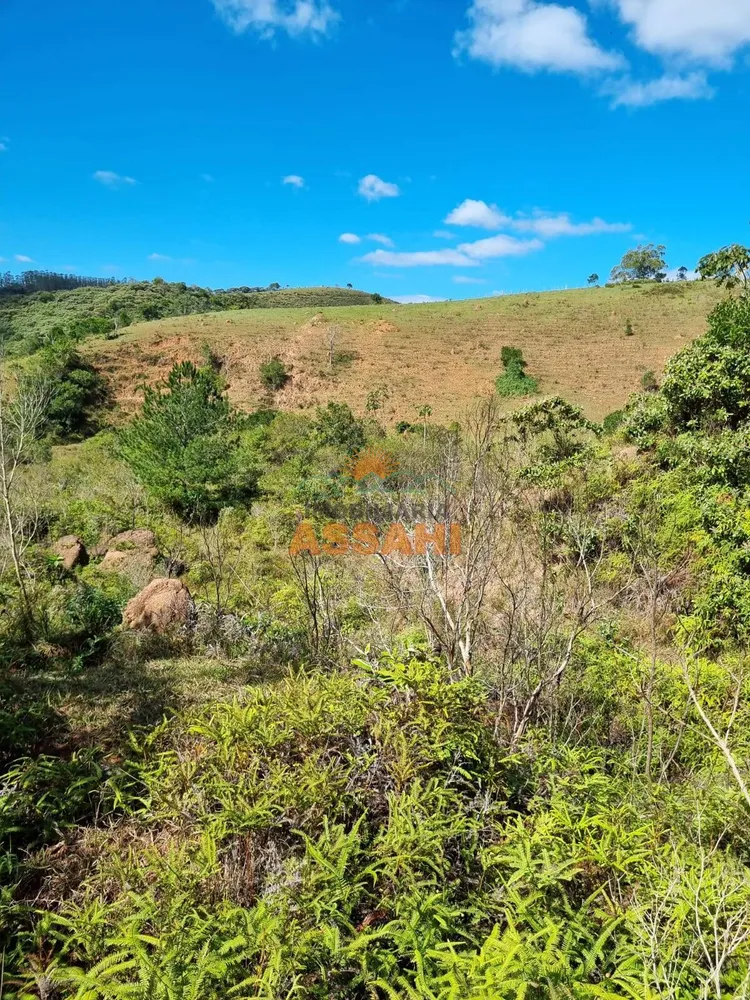 Terreno, 266 hectares - Foto 7
