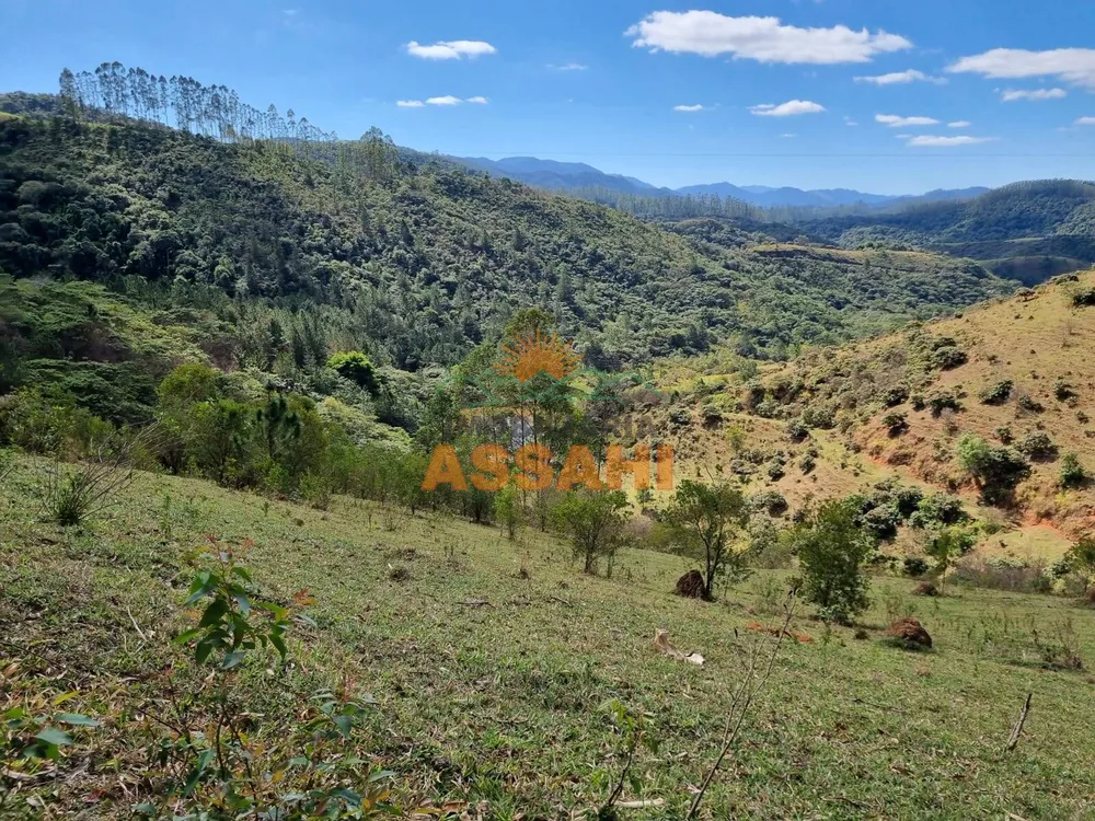 Terreno, 266 hectares - Foto 2