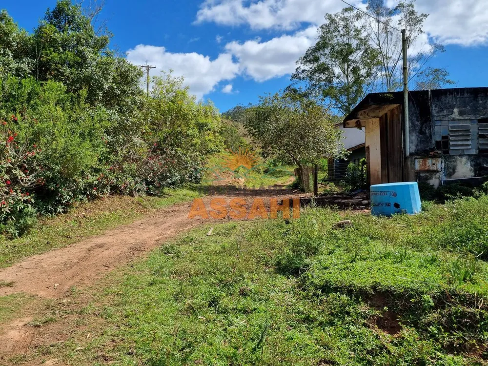 Terreno, 266 hectares - Foto 4