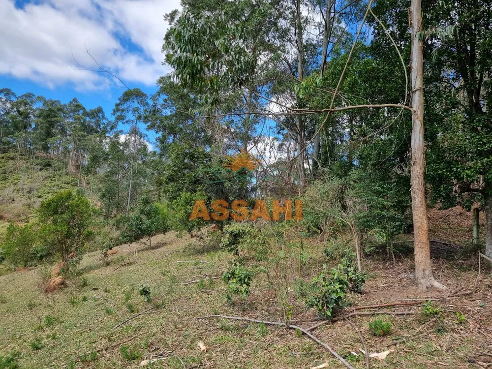 Terreno, 266 hectares - Foto 11