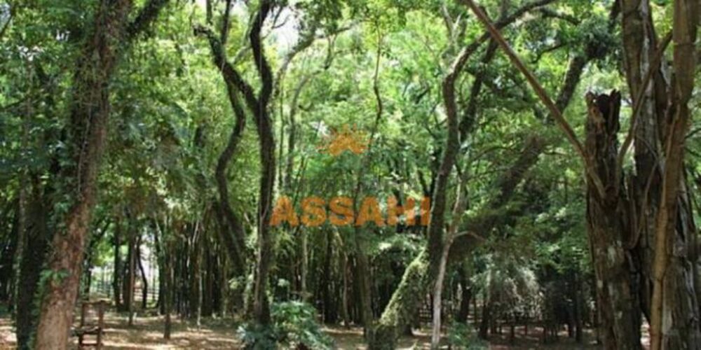 Terreno, 2000 m² - Foto 10