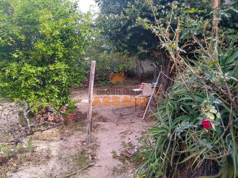 Casa, 3 quartos, 1000 m² - Foto 3