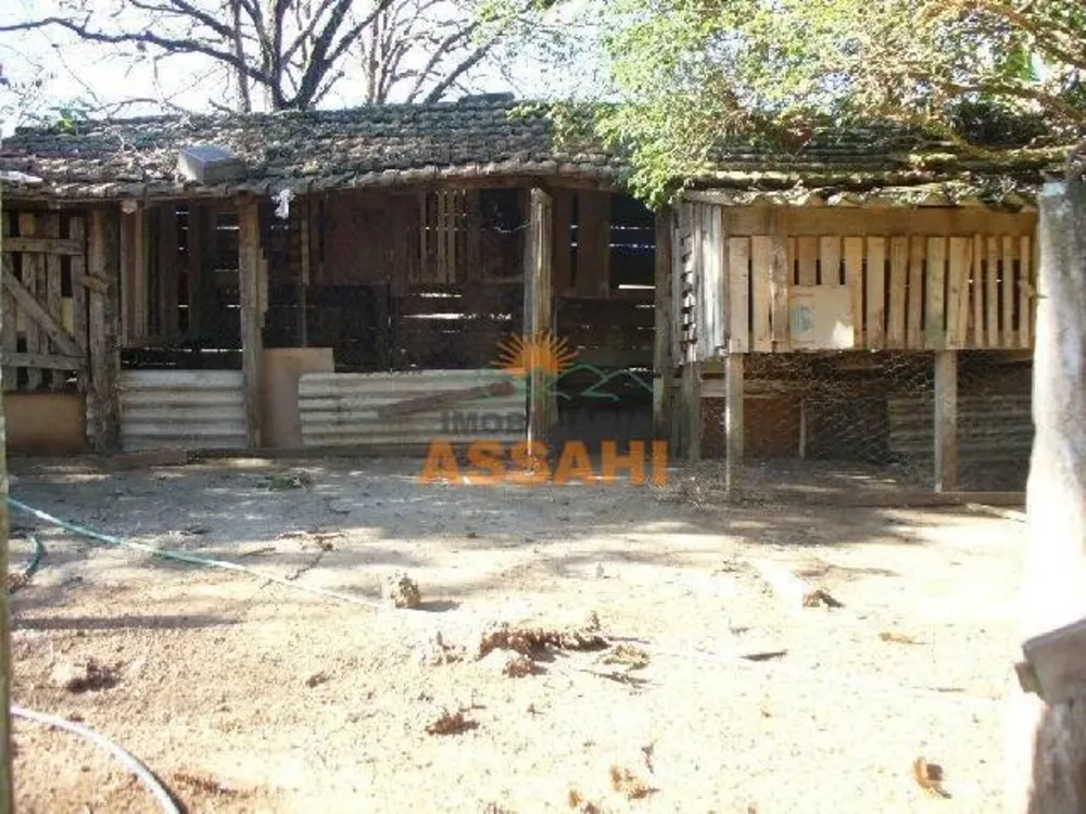 Sítio, 2 quartos, 5 hectares - Foto 3