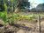 Sítio, 2 quartos, 5 hectares - Foto 11