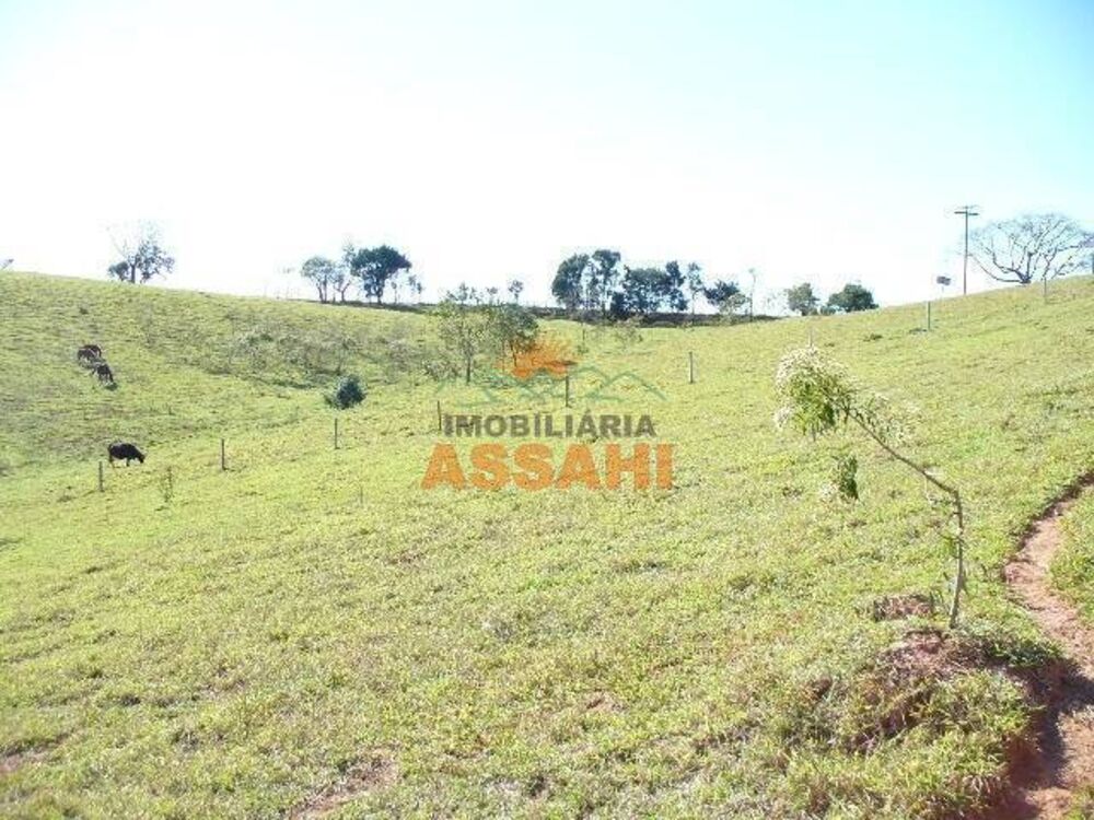 Terreno, 2 hectares - Foto 1