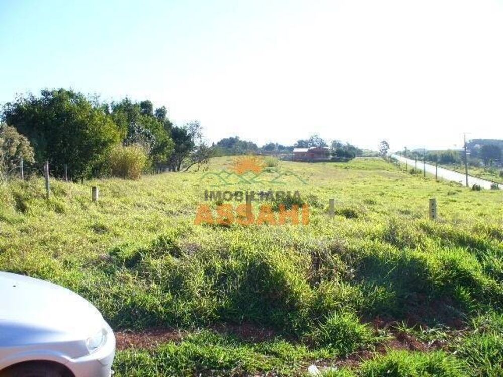 Terreno, 2 hectares - Foto 4