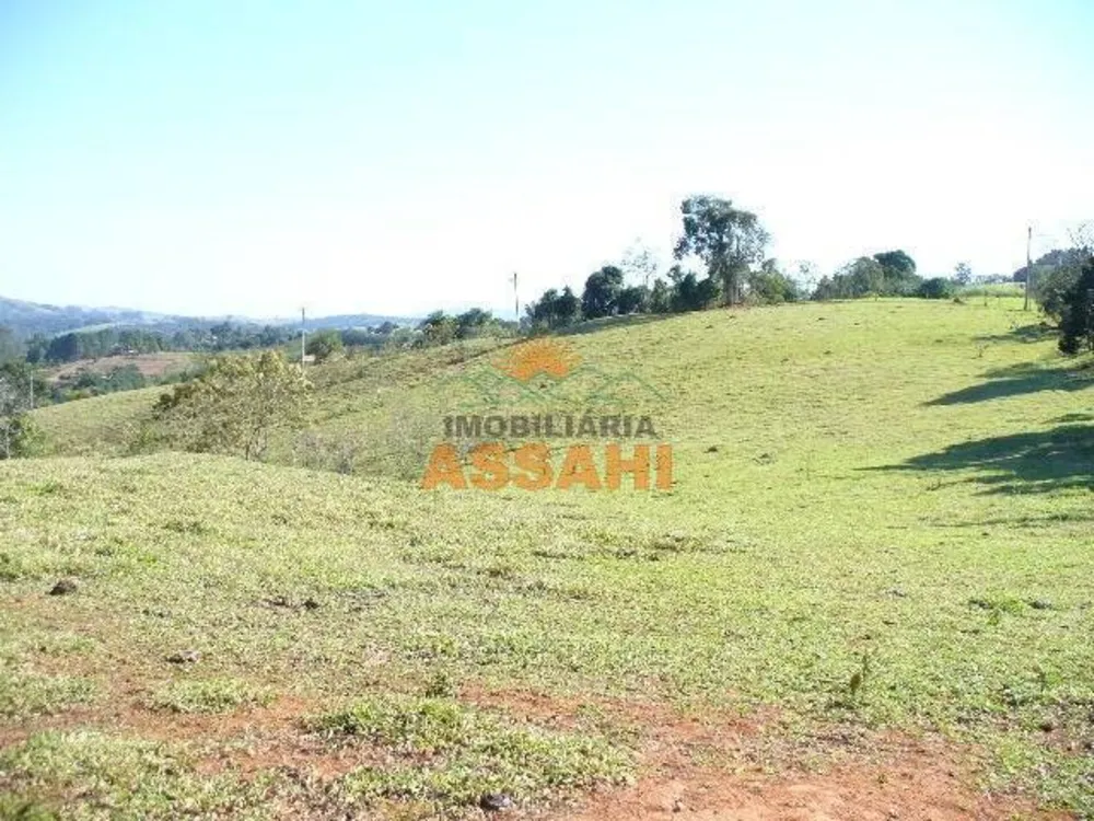 Terreno, 2 hectares - Foto 4