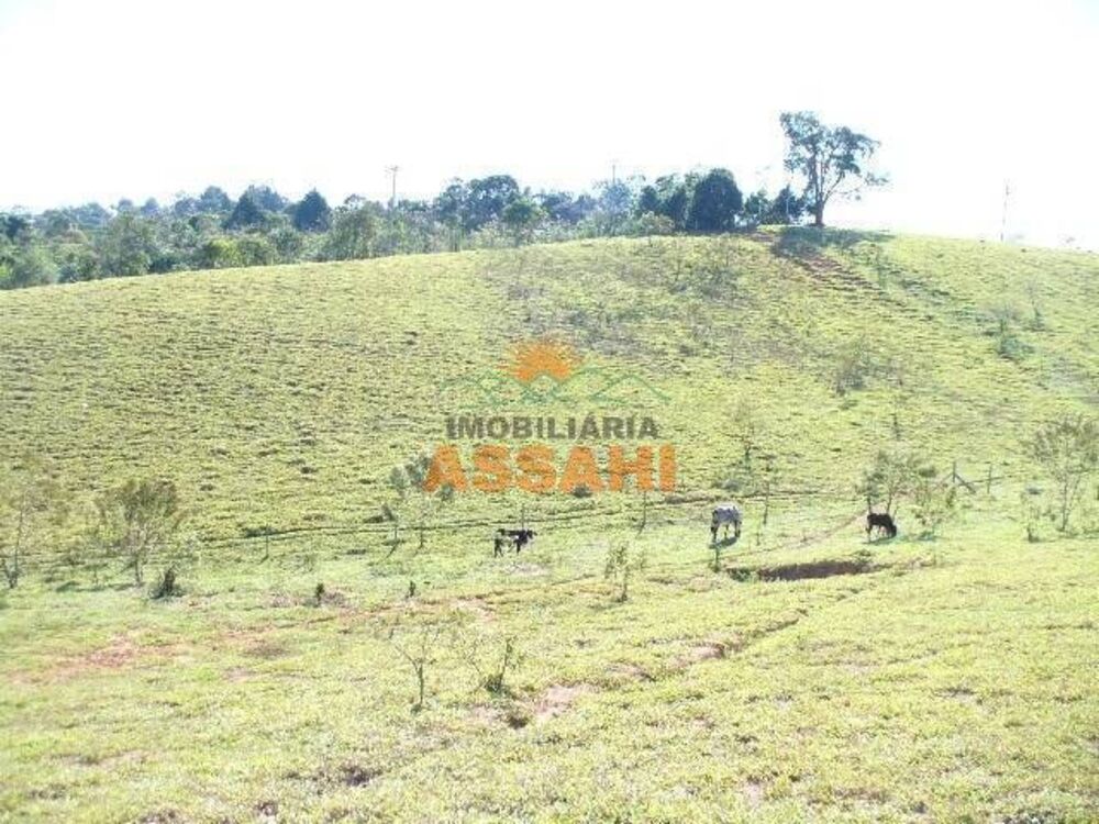 Terreno, 2 hectares - Foto 2