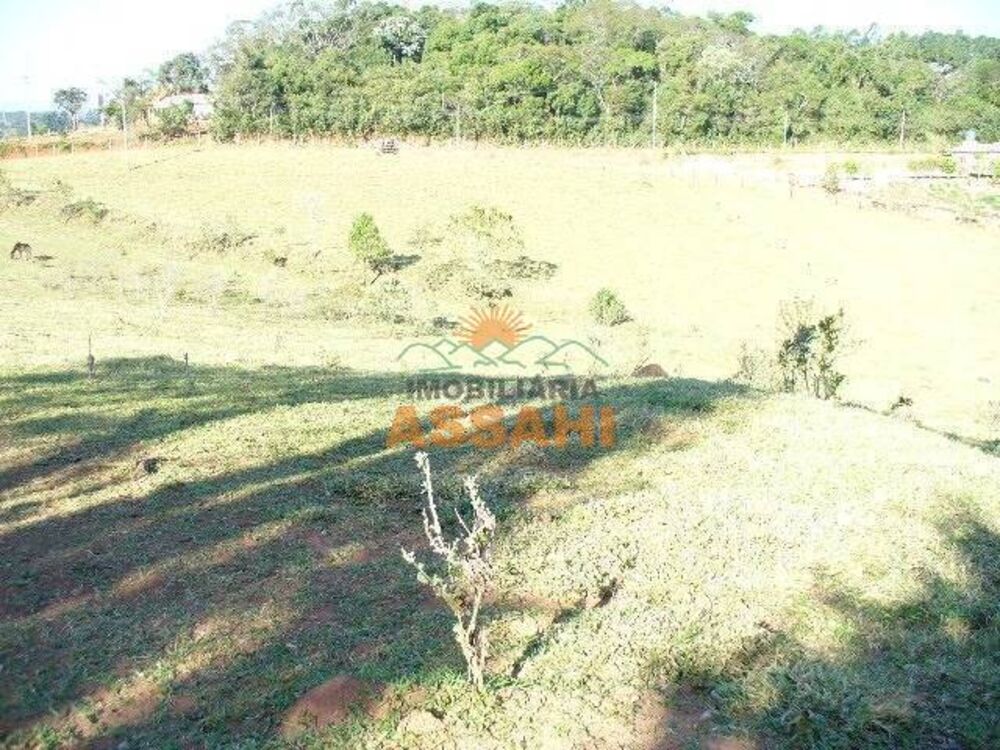 Terreno, 2 hectares - Foto 3