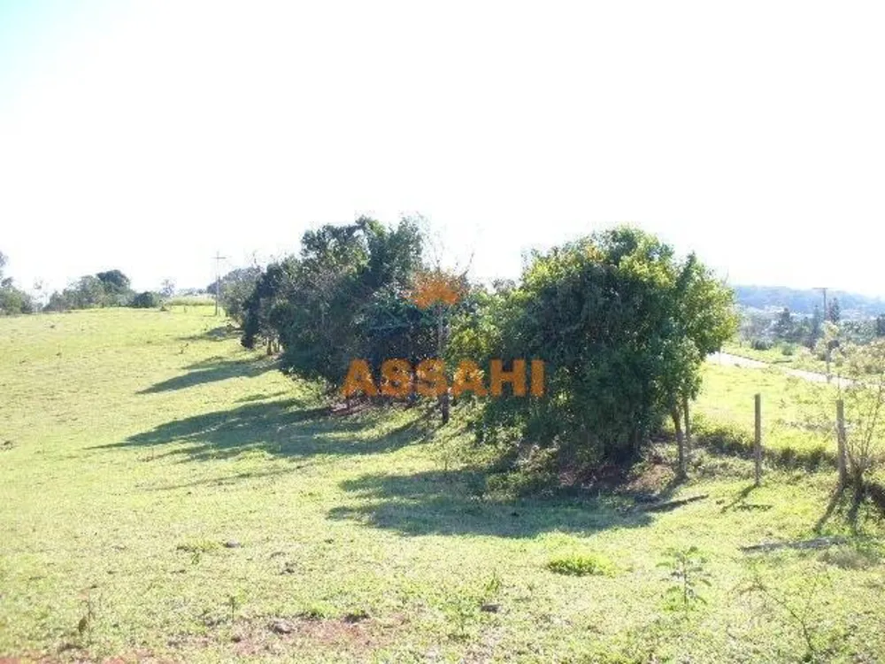 Terreno, 2 hectares - Foto 2