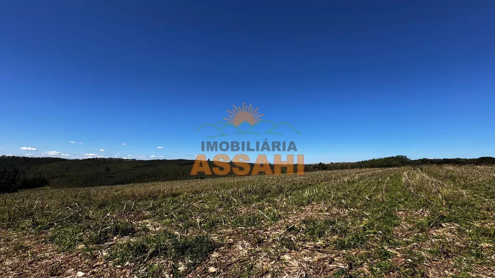 Terreno, 12 hectares - Foto 12