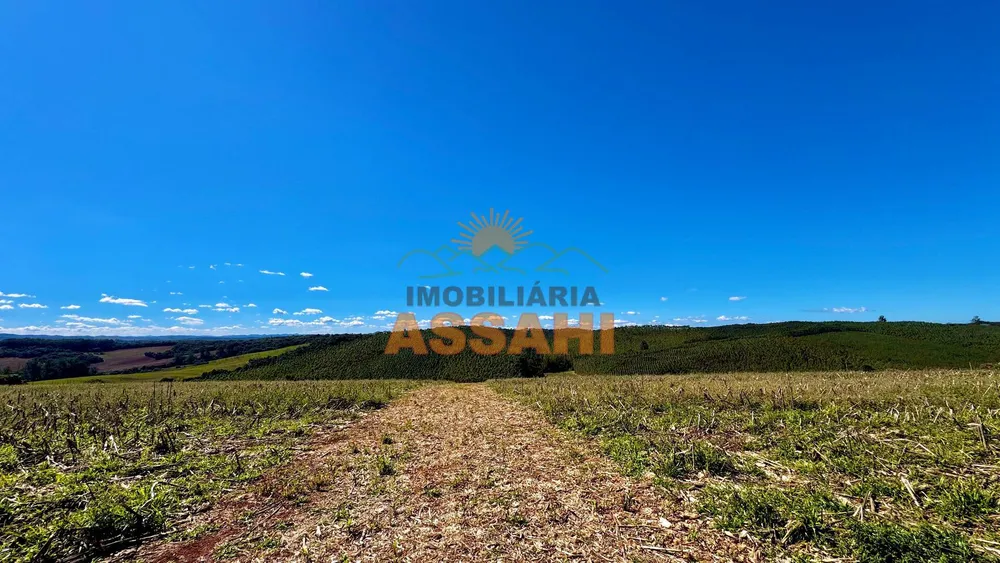 Terreno, 12 hectares - Foto 10
