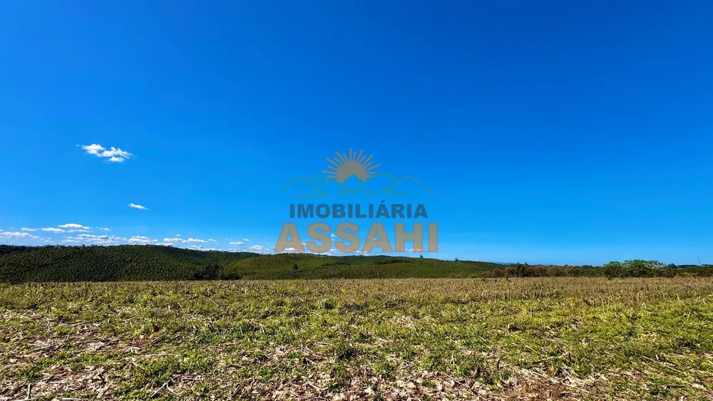 Terreno, 12 hectares - Foto 4