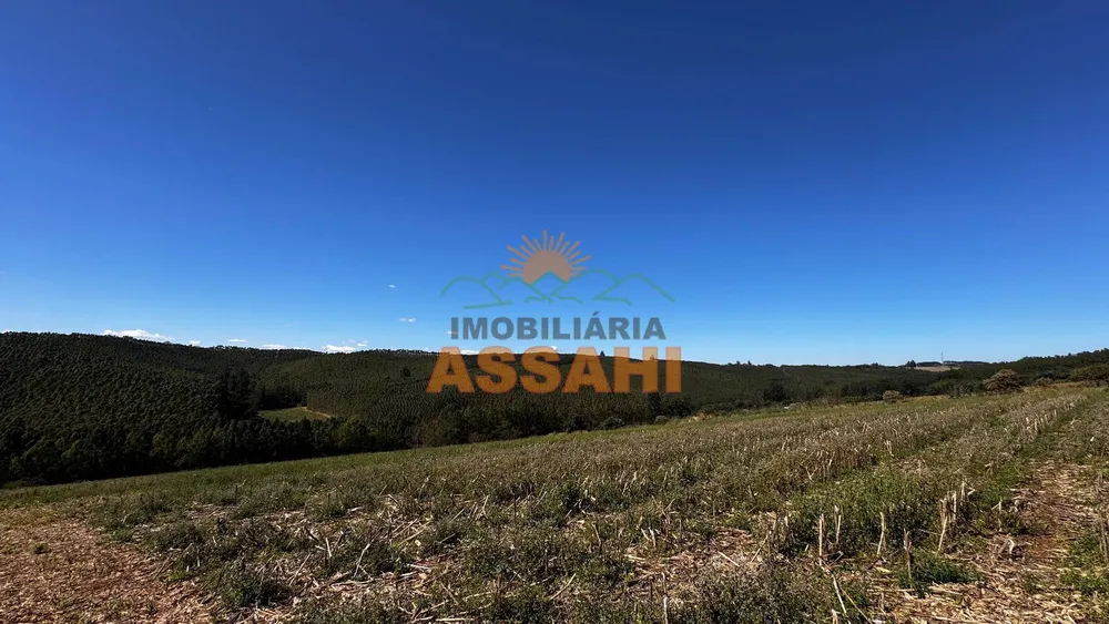 Terreno, 12 hectares - Foto 9