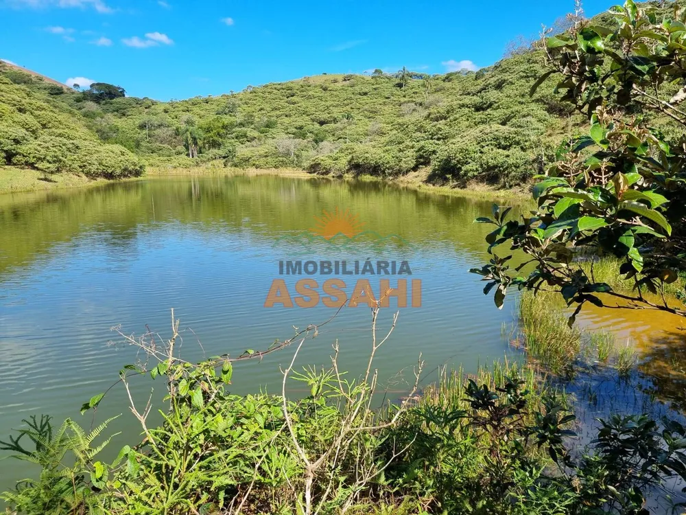 Terreno, 266 hectares - Foto 7