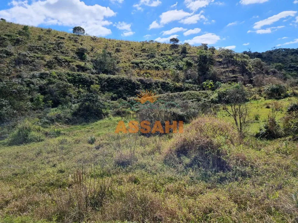 Terreno, 266 hectares - Foto 1