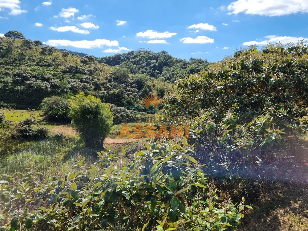 Terreno, 266 hectares - Foto 6