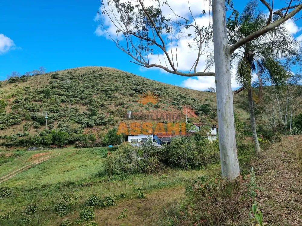 Terreno, 266 hectares - Foto 4