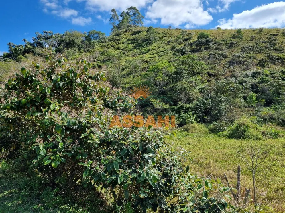 Terreno, 266 hectares - Foto 2