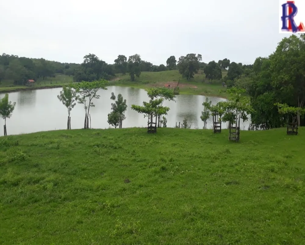 Fazenda - Foto 5