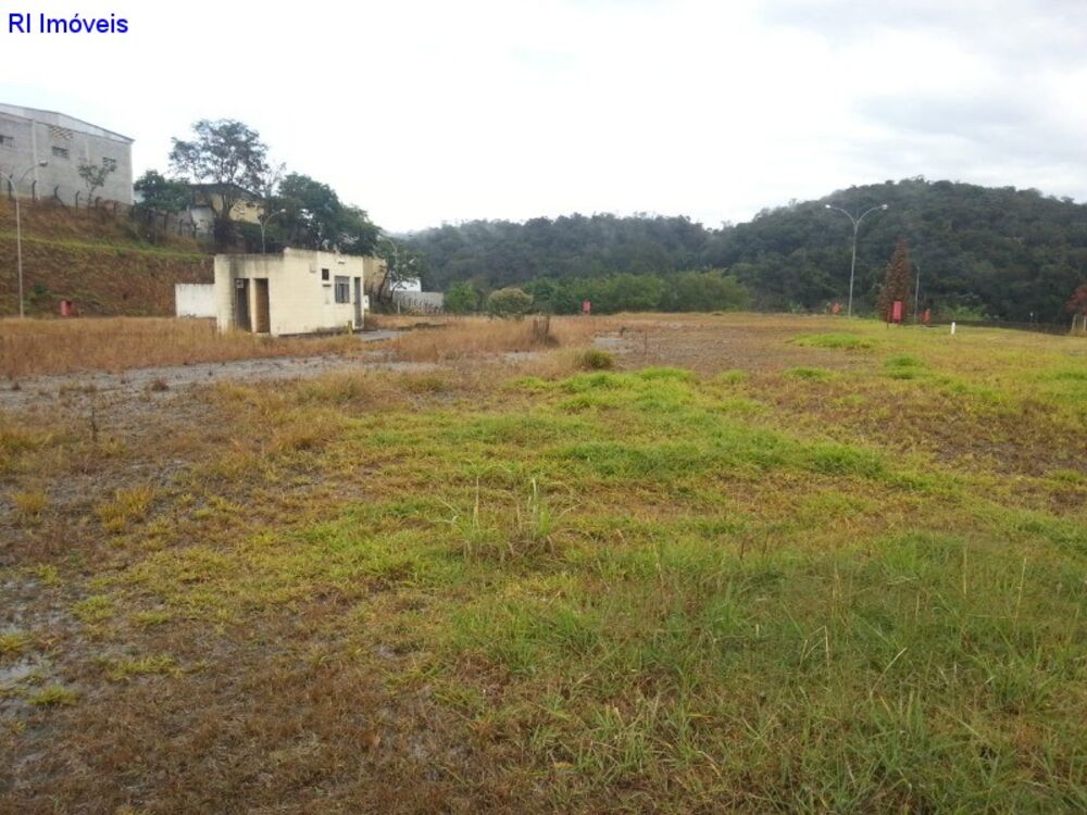 Terreno - Foto 4