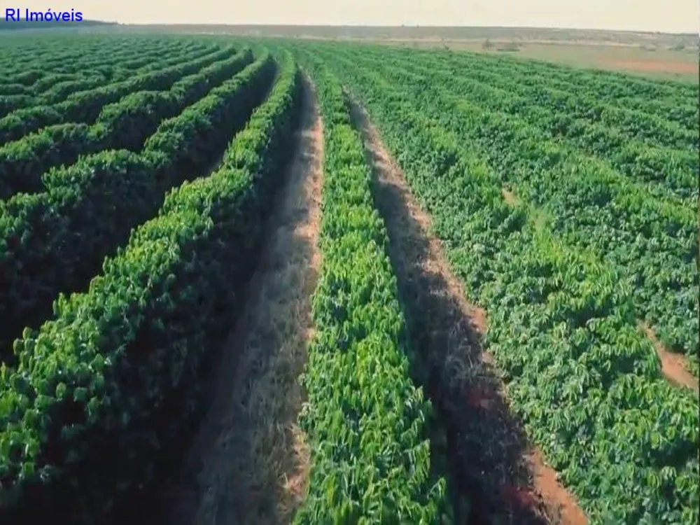 Fazenda - Foto 4