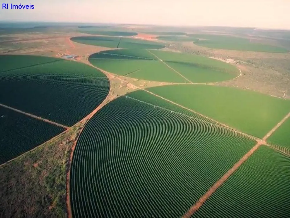 Fazenda - Foto 7