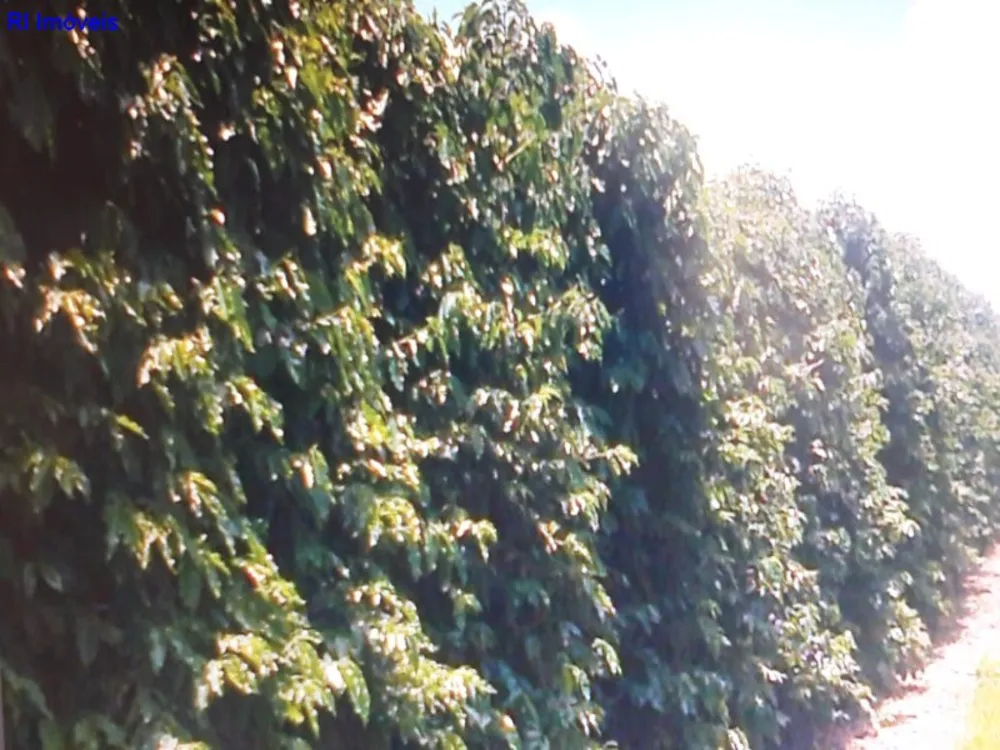 Fazenda - Foto 7