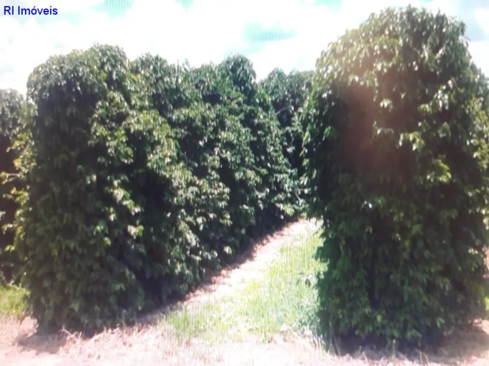 Fazenda - Foto 8