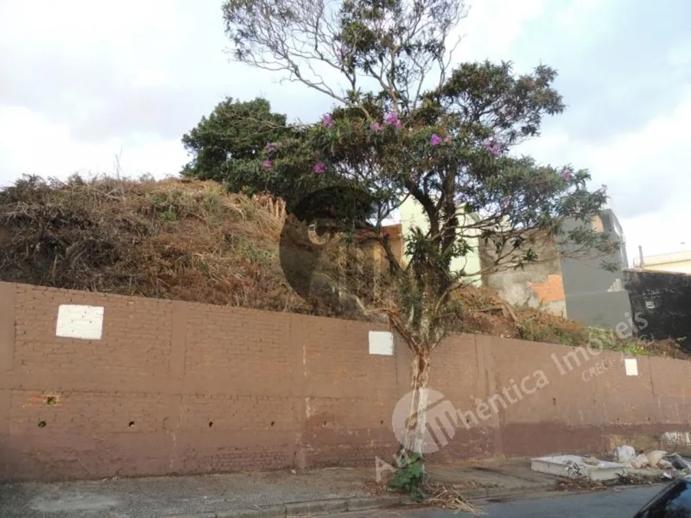 Terreno, 1172 m² - Foto 2