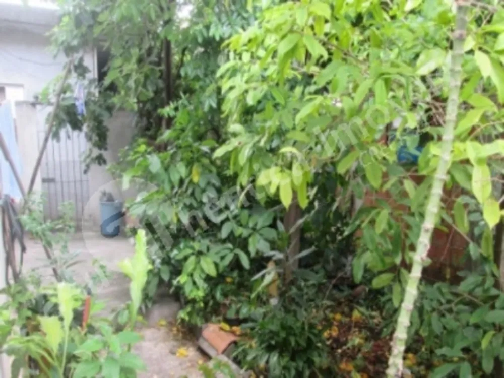 Terreno, 750 m² - Foto 5