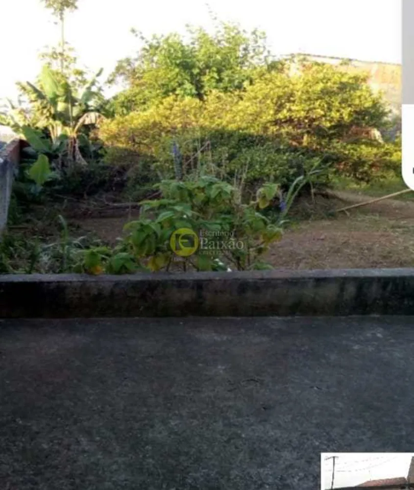 Casa, 3 quartos, 420 m² - Foto 12