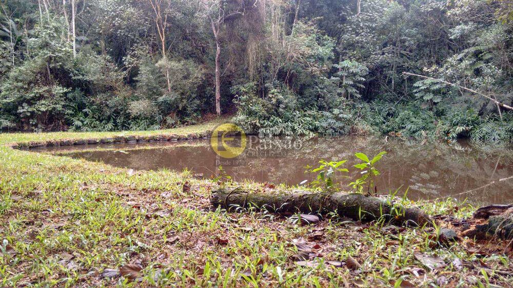 Sítio, 3 quartos, 4 hectares - Foto 31