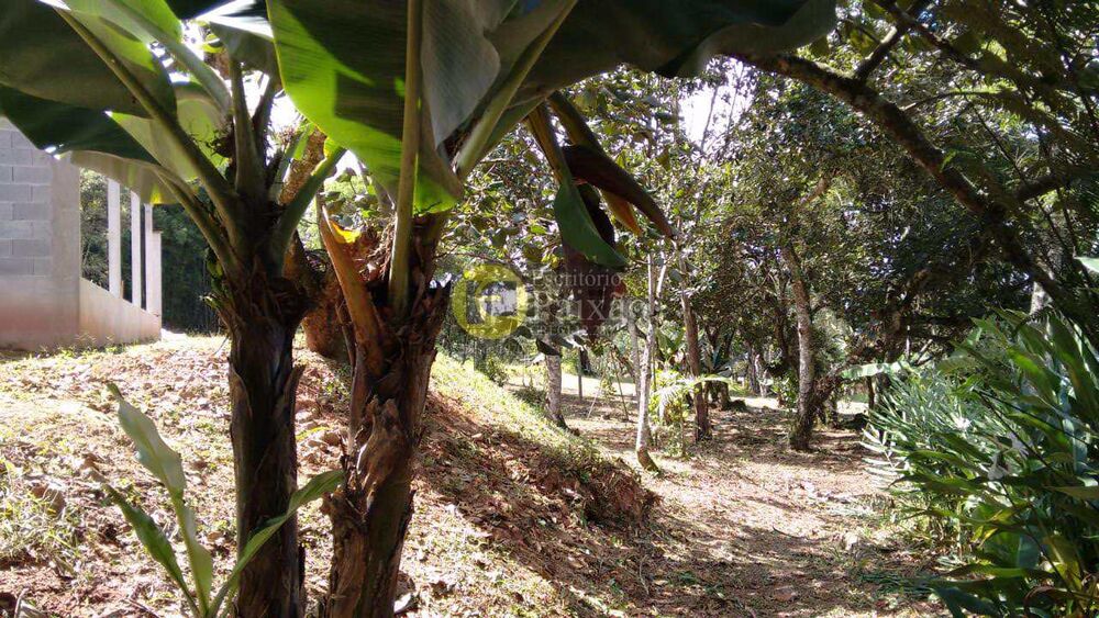 Sítio, 3 quartos, 4 hectares - Foto 15