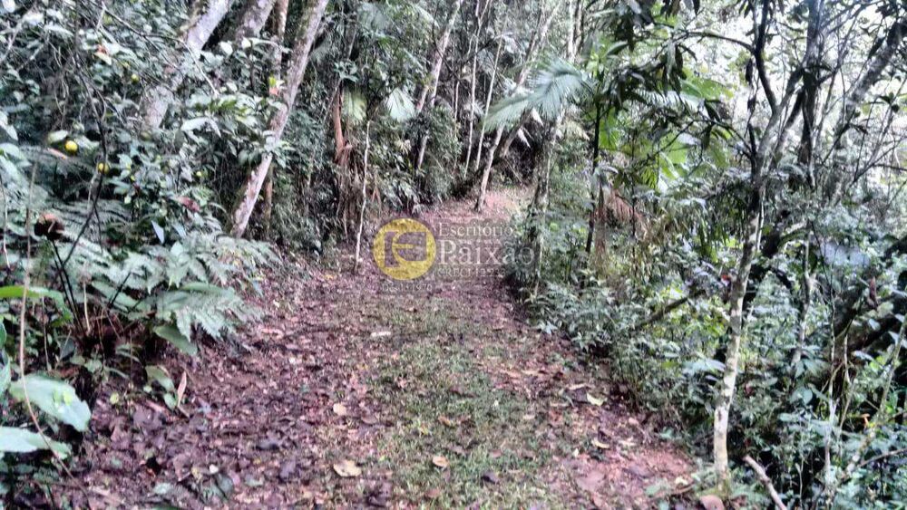 Sítio, 3 quartos, 4 hectares - Foto 33
