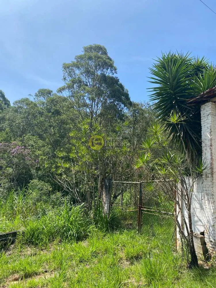 Sítio, 2 quartos, 5 hectares - Foto 8