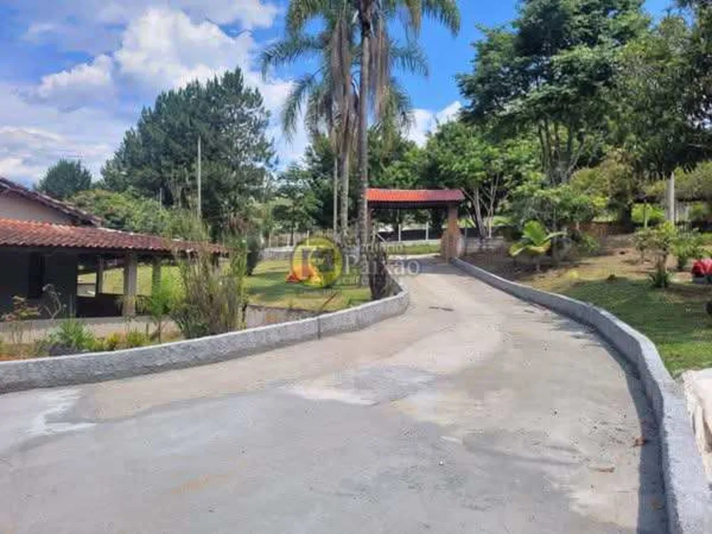 Sítio, 4 quartos, 10000 m² - Foto 2
