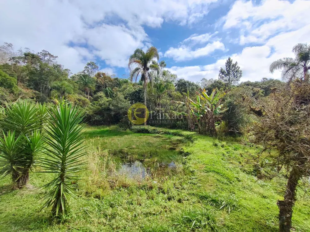 Sítio, 6 quartos, 31 hectares - Foto 6