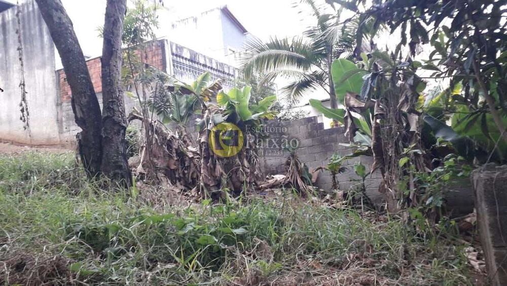 Terreno, 500 m² - Foto 3