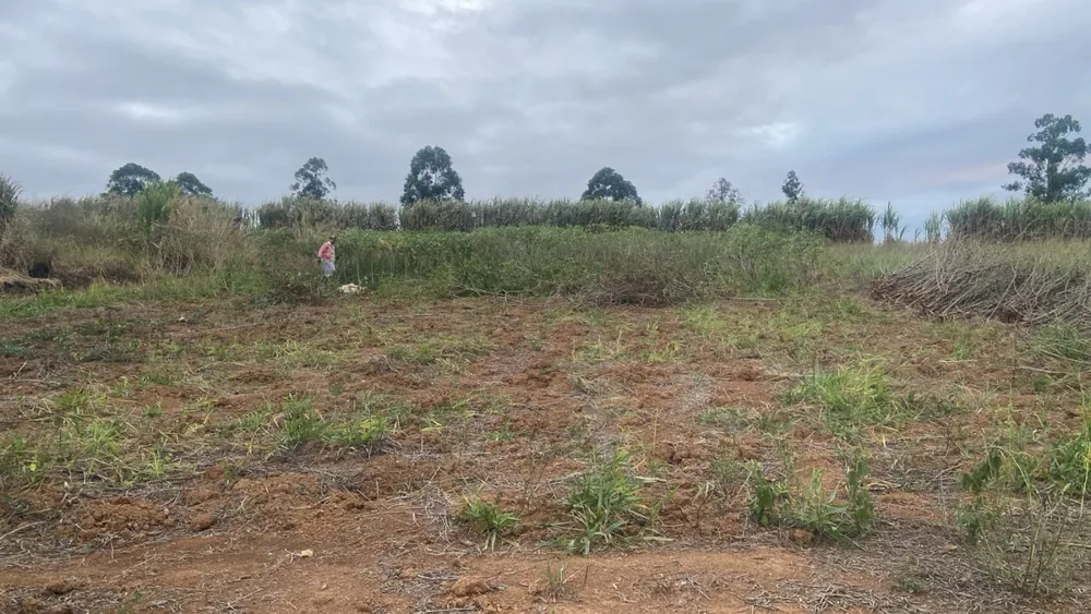 Terreno, 1000 m² - Foto 1