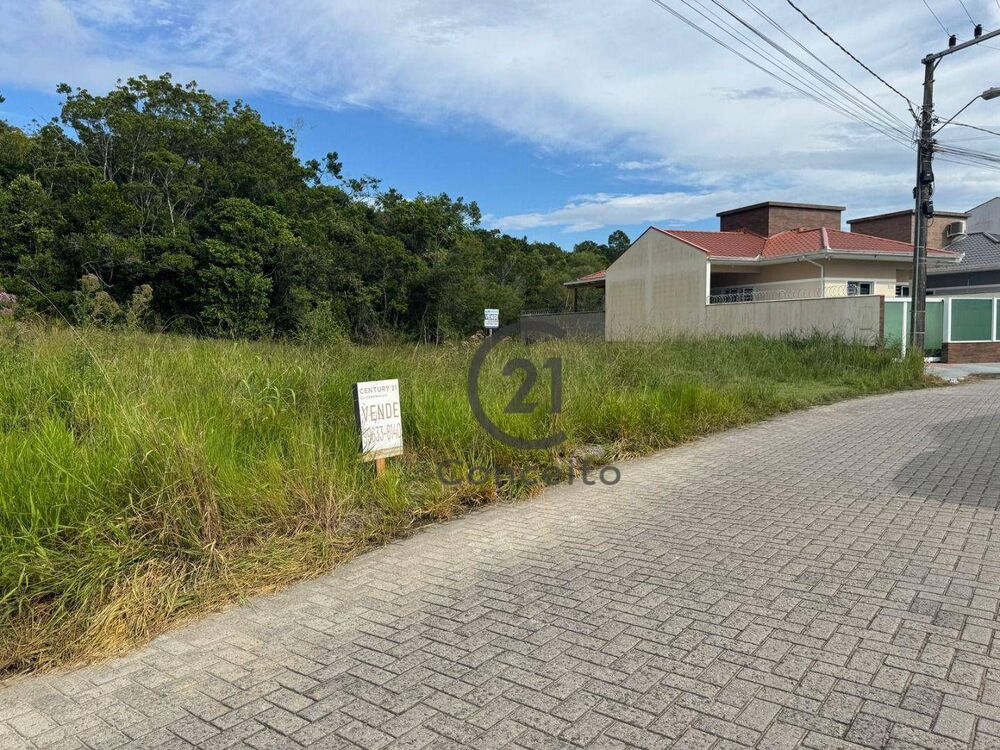 Terreno, 442 m² - Foto 3