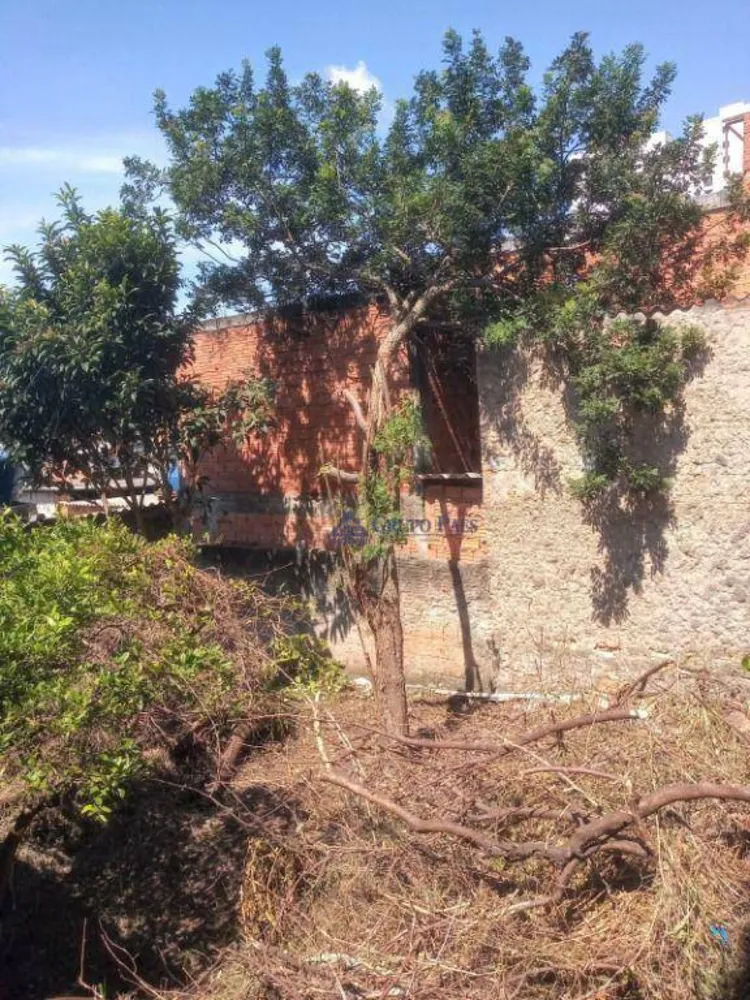 Terreno, 272 m² - Foto 12