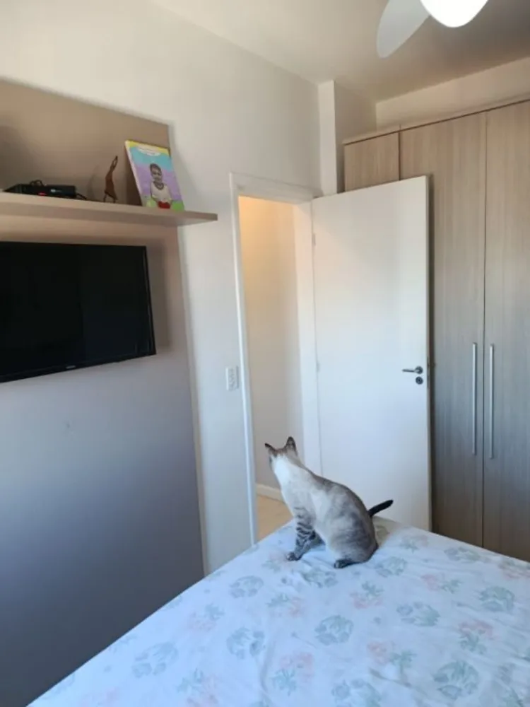 Apartamento, 2 quartos, 54 m² - Foto 2