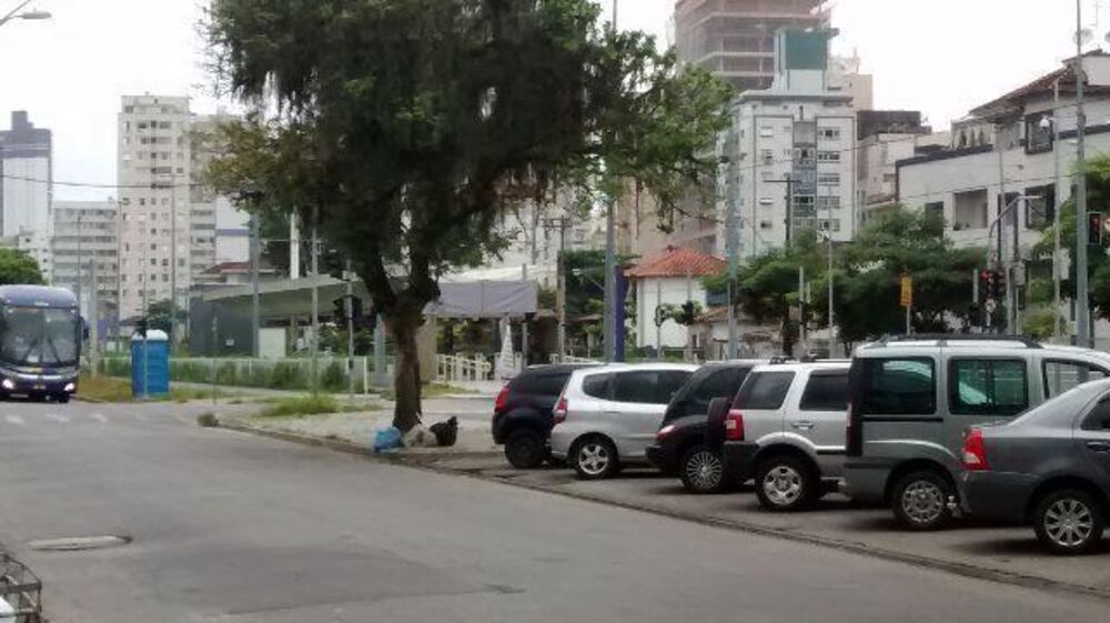 Apartamento, 1 quarto, 57 m² - Foto 10