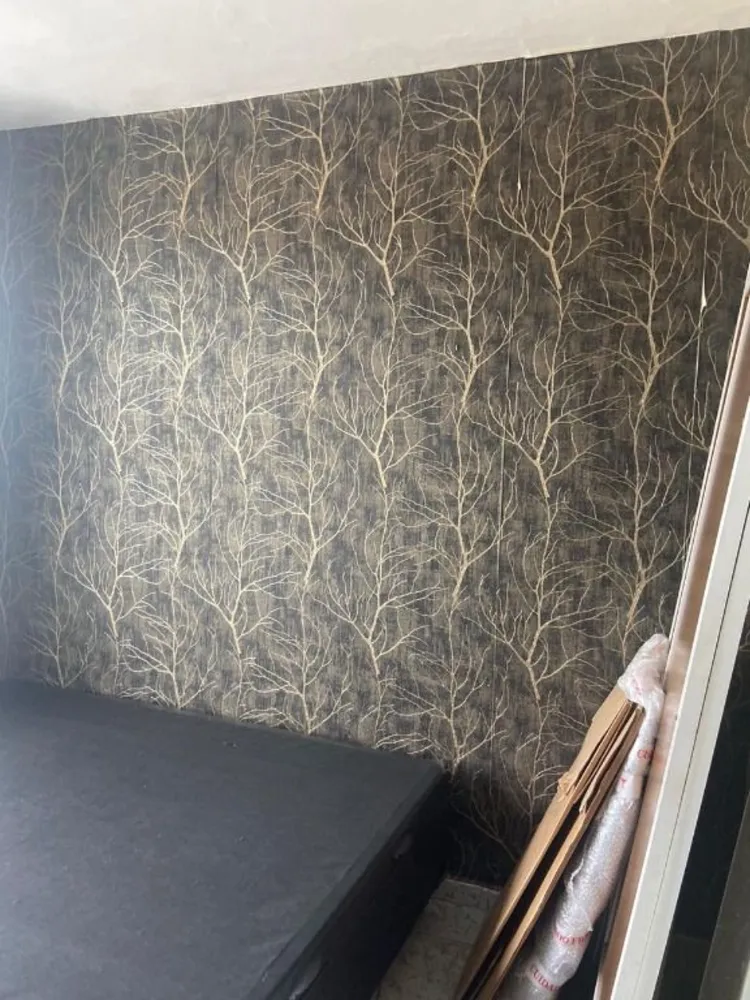 Kitnet-Studio, 40 m² - Foto 3