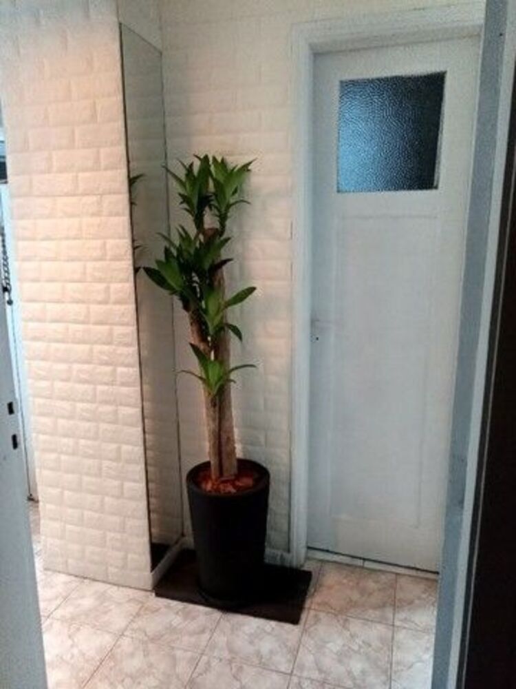 Kitnet-Studio, 20 m² - Foto 2