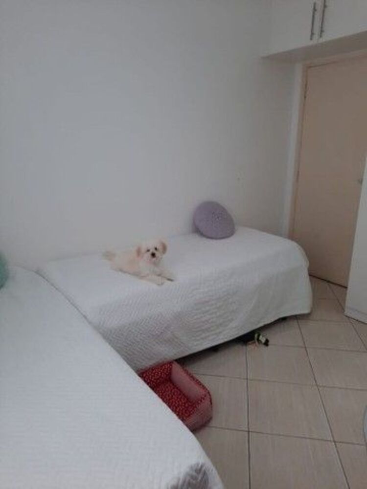 Apartamento, 2 quartos, 100 m² - Foto 1