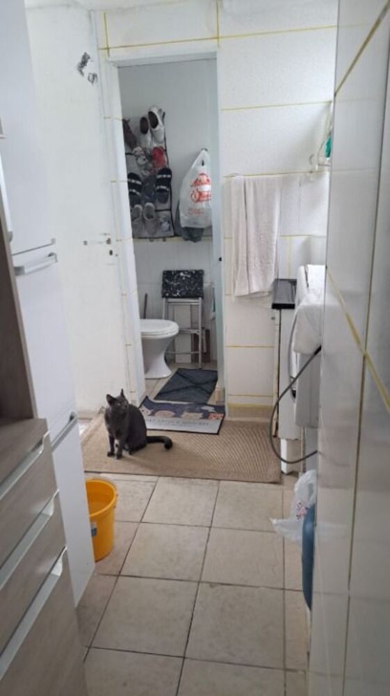 Apartamento, 2 quartos, 51 m² - Foto 9