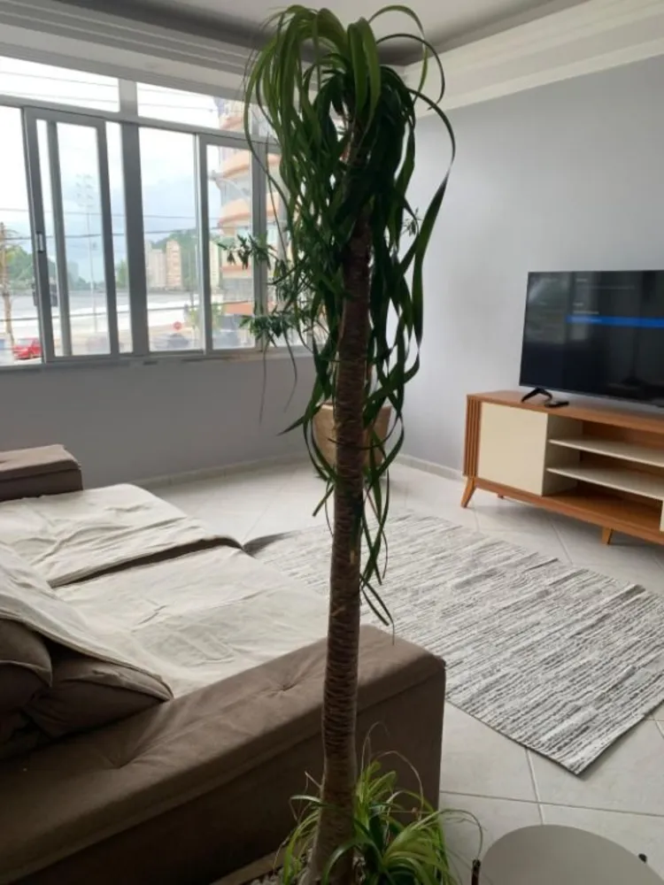 Apartamento, 2 quartos, 90 m² - Foto 3