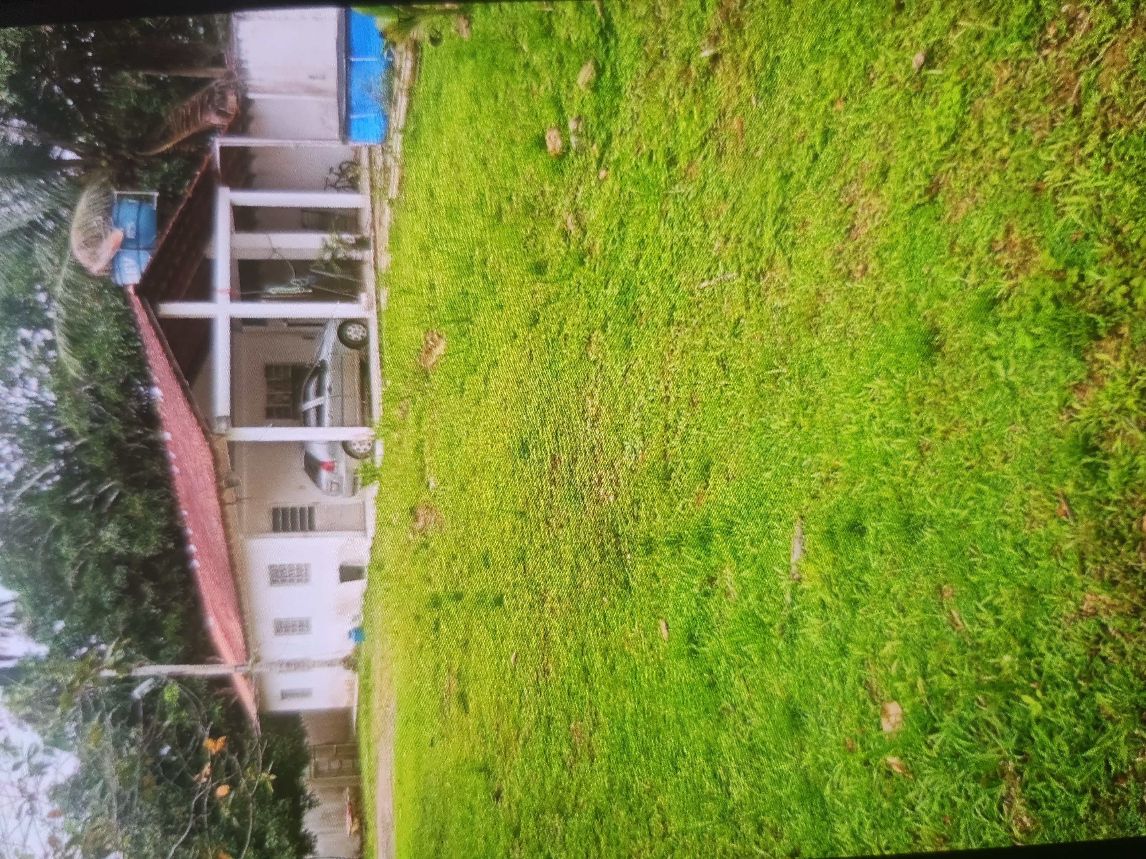 Terreno para alugar com 3 quartos, 300m² - Foto 1